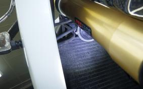 TRIUMPH DAYTONA 675 R 2013