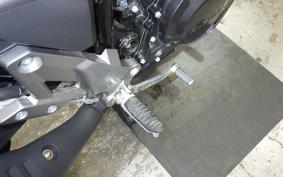 SUZUKI V-STROM 250 A