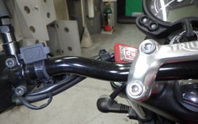 TRIUMPH SPEED TWIN 900 2023