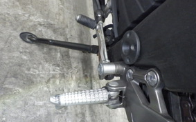 KAWASAKI NINJA 250 EX250L