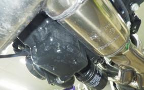 KAWASAKI Z900RS CAFE 2024 ZR900K