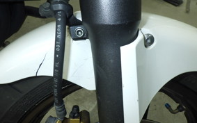 HONDA HORNET 250 2013 MC31