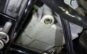 HARLEY FXD 1580 2010