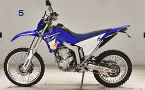 YAMAHA WR250R 2015 DG15J