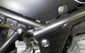 YAMAHA SEROW 250 2007 DG11J