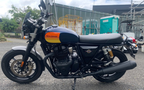 OTHER +ENFIELD INT650 2025