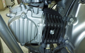 HONDA CT125 HUNTER CUB 2017