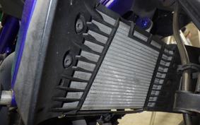 YAMAHA MT-25 2009 RG43J