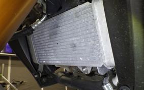 YAMAHA MT-15