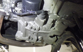 HONDA FAZE 2025 MF11