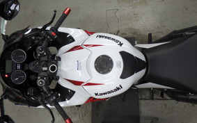 KAWASAKI ZX 1400 NINJA R A 2020