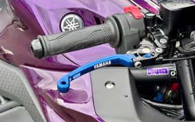 YAMAHA YZF-R25 RG74J