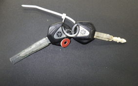 YAMAHA MT-09 Tracer 2016 RN36J