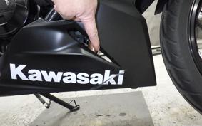 KAWASAKI NINJA 250 SL