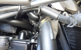 KAWASAKI Z900RS CAFE 2025 ZR900K