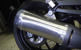 HARLEY X500 2024