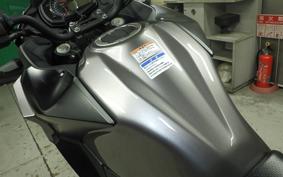 KAWASAKI VERSYS-X 250 A 1999 LE250D