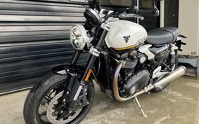 TRIUMPH SPEED TWIN 2025 DD0H22