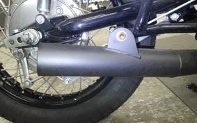 KAWASAKI Z900 2024 Z1F