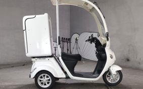 OTHER  BLAZE EV DELIVERY  ..