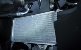 YAMAHA YZF-R15 2006 RG86J