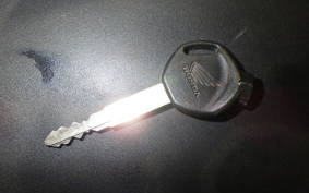 HONDA TACT-4ﾍﾞｰｼｯｸ AF79