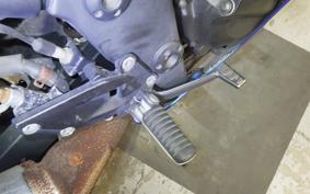 KAWASAKI NINJA 250R 2020 EX250K