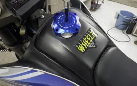 YAMAHA WR250X DG15J