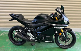 YAMAHA YZF-YZF-R3 ABS 2019 RH13J