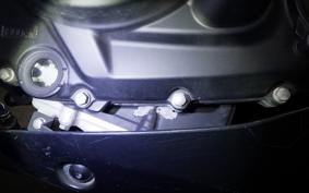 YAMAHA MT-25 A RG43J