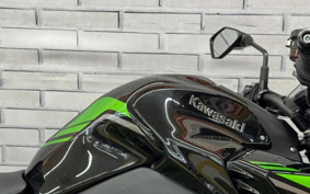 KAWASAKI Z900 2022 ZR900B