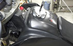 YAMAHA WR250X DG15J