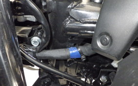 SUZUKI GSX250R
