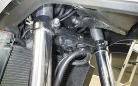 HONDA NC750X DCT 2024 RH09