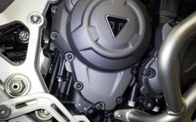 TRIUMPH TIGER 1200 RALLY EX 2023