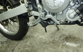 KAWASAKI KLX250 2022 LX250E