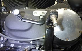 HARLEY XL883N 2013