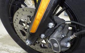 HARLEY XL1200XS 2019