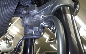 KAWASAKI Z900RS 2023 ZR900K