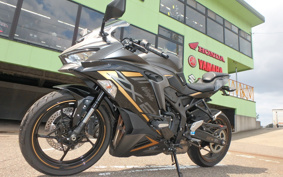 KAWASAKI NINJA ZX-25R ZX250E