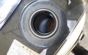 YAMAHA DRAGSTAR 250 VG02J