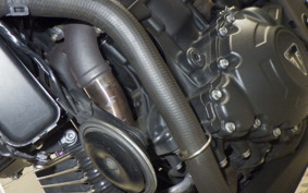 TRIUMPH SPEED TRIPLE RS 2019