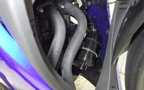 YAMAHA YZF-R25 2021 RG43J
