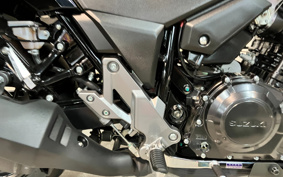 SUZUKI STROM 250ABS DS11A