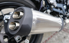 HARLEY X500 2023 W5B