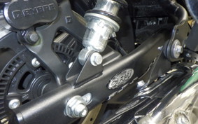 OTHER +ENFIELD SUPER ﾒﾃｵ650 2023