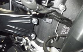 KAWASAKI ZX 1400 NINJA R A 2020