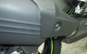 KAWASAKI NINJA ZX-6R A 2024 ZX636J