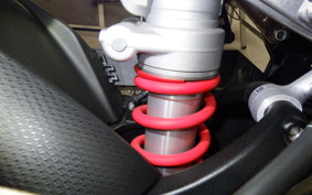 BMW S1000R M PACKAGE 2021