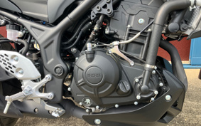 YAMAHA MT-25 RG74J